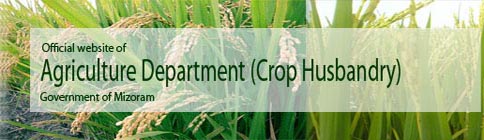 Department of Agriculture Mizoram