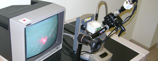 National Institute of Cholera and Enteric Diseases (NICED)