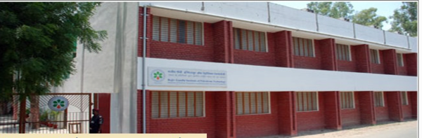 Rajiv Gandhi Institute of Petroleum Technology (RGIPT) Logo